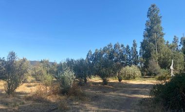 San Fernando, Gran Loteo en Puente Negro