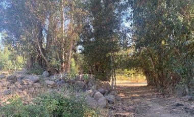 San Fernando, Gran Loteo en Puente Negro