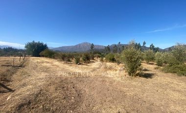 San Fernando, Gran Loteo en Puente Negro