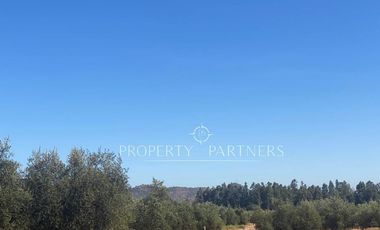 San Fernando, Gran Loteo en Puente Negro