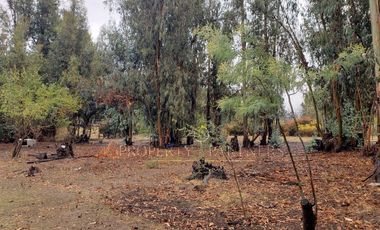 San Fernando, Gran Loteo en Puente Negro