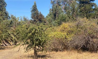 San Fernando, Gran Loteo en Puente Negro