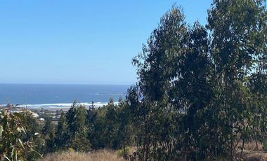 Matanzas, Casa Rodeada de Bosque