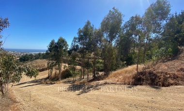 Matanzas, Casa Rodeada de Bosque