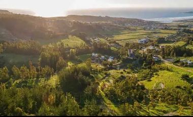 Matanzas, Casa Rodeada de Bosque