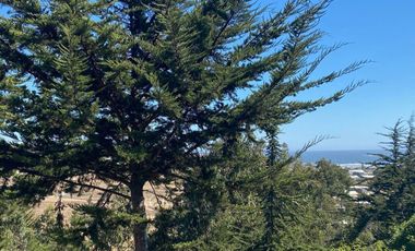 Matanzas, Casa Rodeada de Bosque