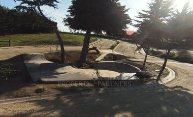 Pichilemu, Terrenos en Proyecto Inmobiliario en Punta de Lobos