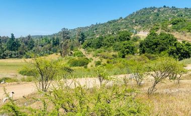 Chimbarongo, Terreno en Tinguiririca