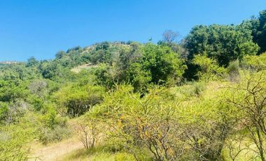Chimbarongo, Terreno en Tinguiririca
