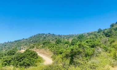 Chimbarongo, Terreno en Tinguiririca