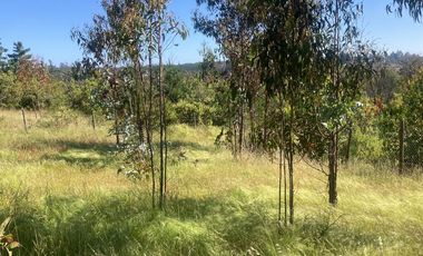 Matanzas, Terreno  rodeado Naturaleza