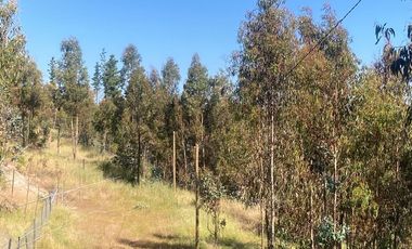 Matanzas, Terreno  rodeado Naturaleza