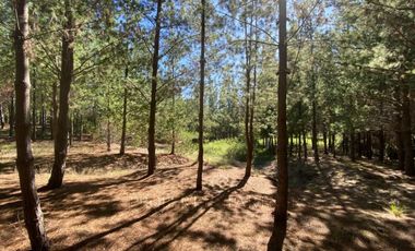 Matanzas, Terreno en Reserva El Maitén