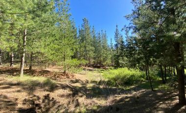 Matanzas, Terreno en Reserva El Maitén