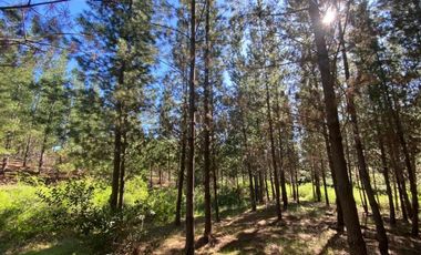 Matanzas, Terreno en Reserva El Maitén