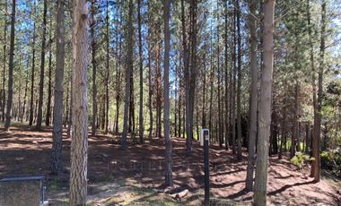 Matanzas, Terreno en Reserva El Maitén