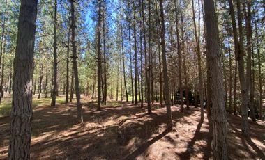 Matanzas, Terreno en Reserva El Maitén