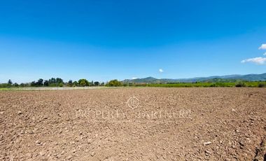 Palmilla, Gran Terreno en Maravilloso Sector