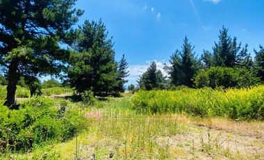 Puertecillo, Espectacular Terreno Condominio Punta Puertecillo