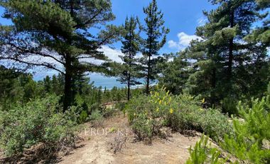 Puertecillo, Terreno con preciosa vista en Punta Puertecillo