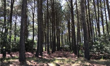 LOTE EN VENTA  PINAMAR FRONTERA