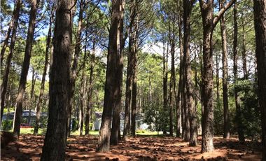LOTE EN VENTA  PINAMAR FRONTERA