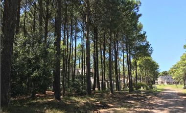 LOTE EN VENTA  PINAMAR FRONTERA