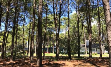 LOTE EN VENTA  PINAMAR FRONTERA