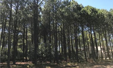 LOTE EN VENTA  PINAMAR FRONTERA