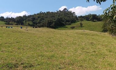 VENTA de LOTES en LA CALERA