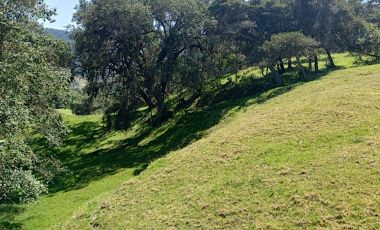 VENTA de LOTES en LA CALERA