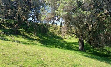VENTA de LOTES en LA CALERA