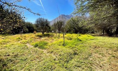 Parcela en Venta en 39, El Durazno, Vicuña