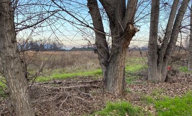 Terreno en Venta en Camino a Tuniche
