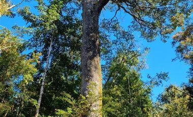 Terreno en Venta en isla tranqui