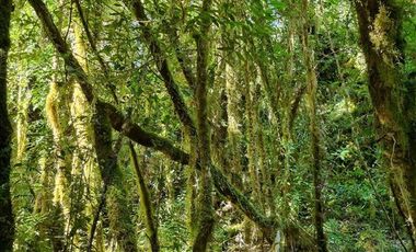 Terreno en Venta en isla tranqui