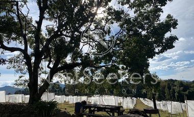 Gran oportunidad de inversión, Rancho aguacatero