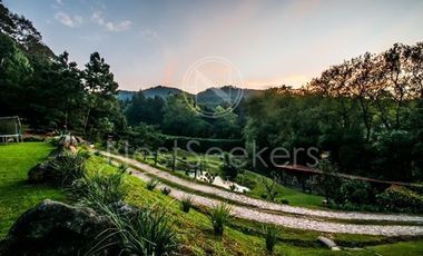 Casa en renta en el bosque