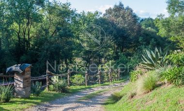 Casa en renta en el bosque