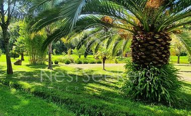 Un paraíso hecho realidad, Rancho en el valle de Tilostoc.