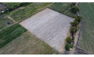 Lote terreno de 6.044m2 en venta Santa Elena El Cerrito Valle Colombia