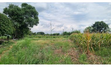 Lote terreno de 6.044m2 en venta Santa Elena El Cerrito Valle Colombia