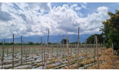 Lote terreno de 6.044m2 en venta Santa Elena El Cerrito Valle Colombia