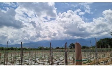 Lote terreno de 6.044m2 en venta Santa Elena El Cerrito Valle Colombia