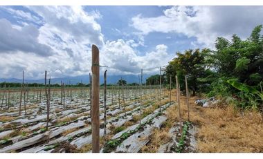 Lote terreno de 6.044m2 en venta Santa Elena El Cerrito Valle Colombia