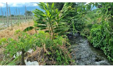 Lote terreno de 6.044m2 en venta Santa Elena El Cerrito Valle Colombia