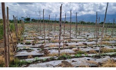 Lote terreno de 6.044m2 en venta Santa Elena El Cerrito Valle Colombia