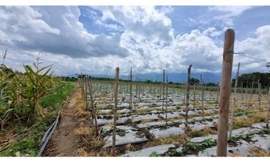 Lote terreno de 6.044m2 en venta Santa Elena El Cerrito Valle Colombia