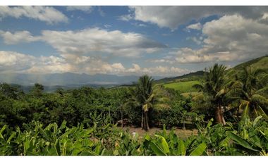 Casa de Campo en 7 Has. en Venta - Lamas - El Saucal