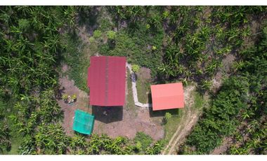 Casa de Campo en 7 Has. en Venta - Lamas - El Saucal